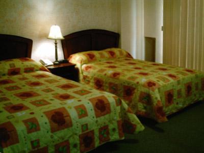 Hotel Zafra 토레온 외부 사진